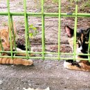 윗잔다리어린이공원 이미지