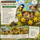 짬동시 숲 홍보대사 박새의 활동기「상상력을 키워 주는 짬동시」 이미지