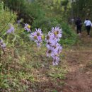 민둥산산마루시루봉펜션 이미지