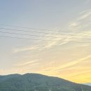 감꽃향흩날리는 이미지