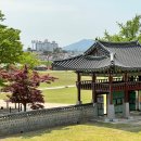 해미읍성 | 서산 당일치기 해미읍성 방문 후기, 주차·입장료·운영시간까지 정리
