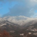 산청(통영) 이미지