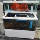 터줏대감 2호점 이미지