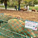 늘솔길근린공원(4호) 공원화장실 이미지