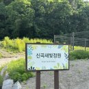 세븐일레븐의정부신곡효자점 | 서울 근교 한적한 수레국화 명소 의정부 신곡새빛정원