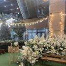 카라웨딩 이미지
