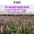 아쉬움이 남았던 태안 네이처월드 꽃정원 빛축제 5월 방문후기