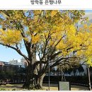 도봉-도봉-서울도봉-2289 네이버블로그