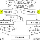 유산소 운동과 무산소 운동의 차이 이미지