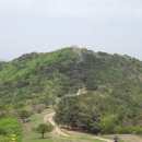 산악마라톤대회 부산오산종주 30km 대회 참가기 이미지