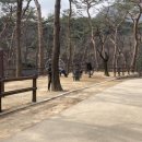 3.1운동길B 이미지