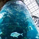 동물은내친구 이미지