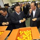 제주전자 이미지