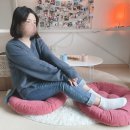 파인댕스 이미지