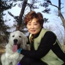 짜장박사 이미지