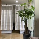 김녕경희한의원 이미지