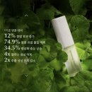 코코인셀덤