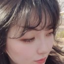 다미래쉬 이미지
