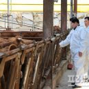 한우사육장 이미지