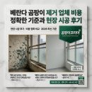 곰팡이제거업체