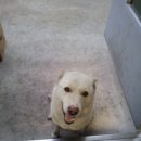 박성식동물병원 이미지