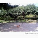 부원농장 이미지