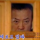 댓그르