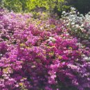 햇빛누리 이미지