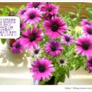 모닝마트 앞 이미지