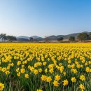 선도민박 이미지