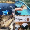 인제농장 이미지