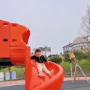 안성맞춤랜드 이미지