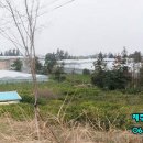 남원읍-71 이미지