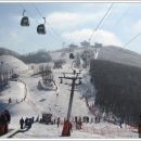 하이원랜드 이미지