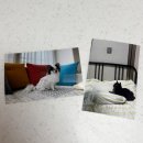 할레김 | 일산 사진 출력&amp;인화 민스튜디오 사진관 백석역 마크트할레점 내돈내산후기