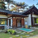 조가네갑오징어원주점 이미지