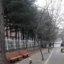 효원초교 네이버블로그
