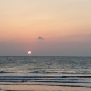 오가민박 이미지