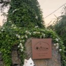 레이즈어라운드 이미지