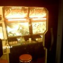 스타 게임랜드 이미지