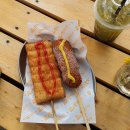 강정동-19 이미지