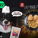 댕스키친 | 강아지신장건강케어, 알로키친 키드니튜나 후기, 순샵에서 할인중!!