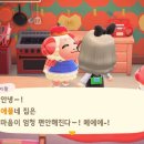 차둘이농장 이미지