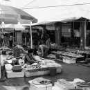 문하우스 이미지