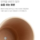 식물집사가 되고싶다면? 초보🌿원예용품 추천비추천🌿 이미지