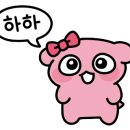 용송쿠키 이미지