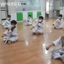 VIP 태권도장 이미지
