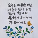 일반 상식 퀴즈 이미지