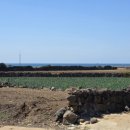 제주보물섬공인중개사사무소 이미지