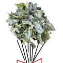 초록빛하루 이미지